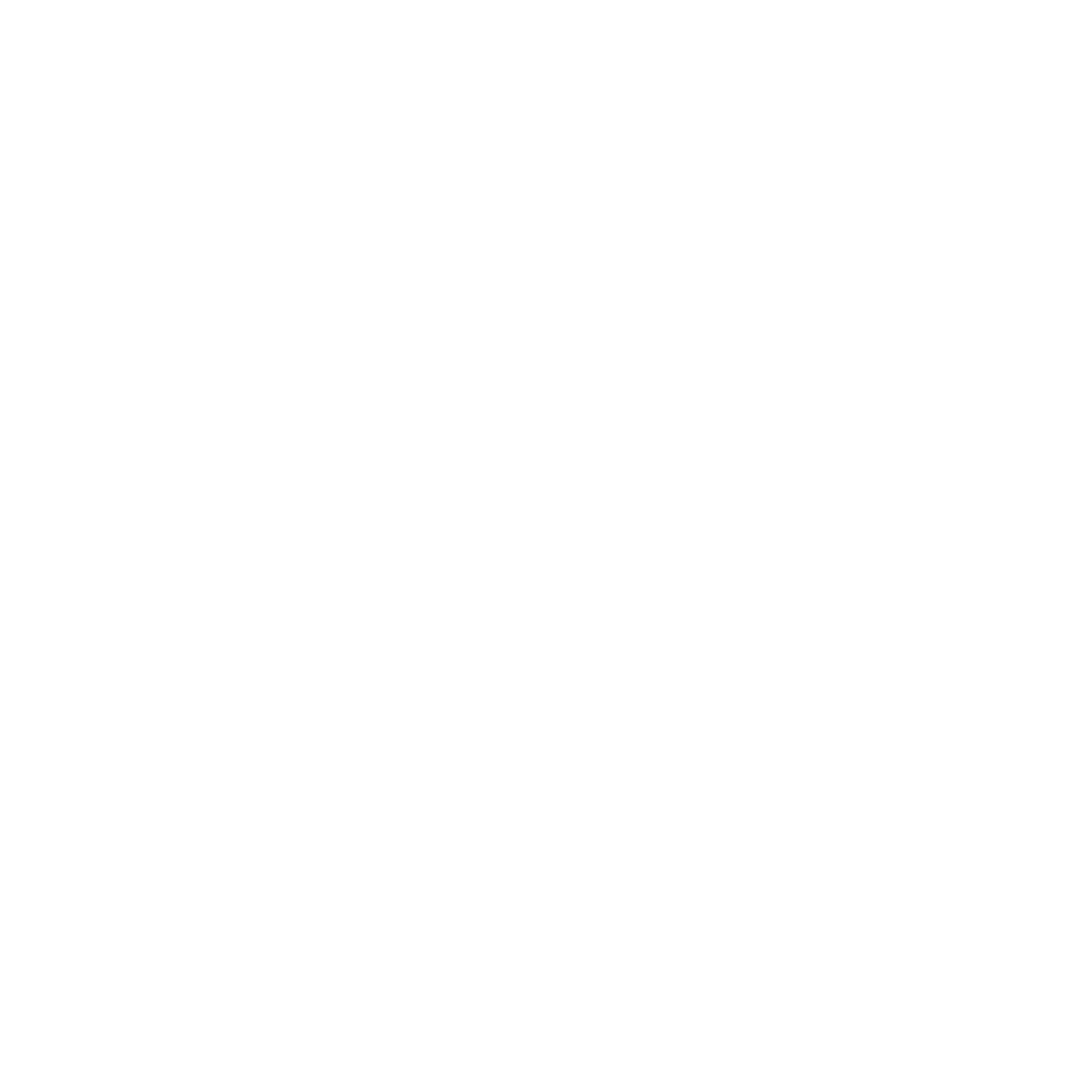 Logo LIPOSOME Adv Decorté